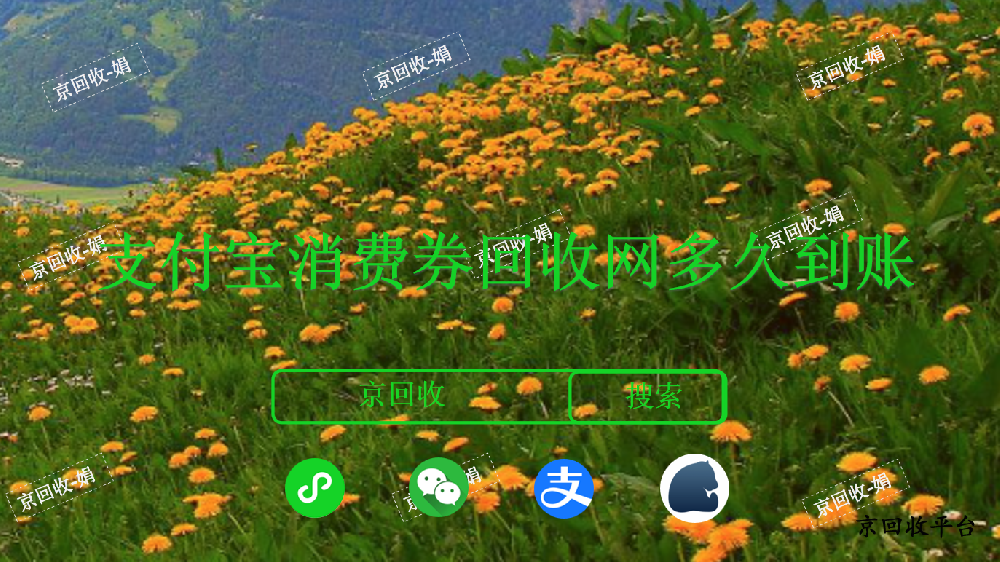 支付寶消費券回收網(wǎng)多久到賬