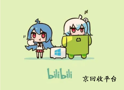 嗶哩嗶哩大會員回收