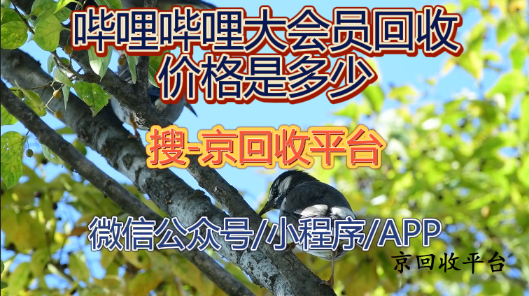 嗶哩嗶哩大會員回收價格是多少