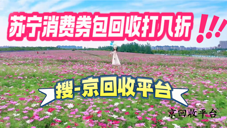 蘇寧消費(fèi)券包回收打幾折
