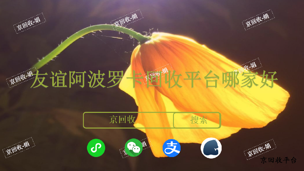 友誼阿波羅卡回收方法大揭秘，輕松變現(xiàn)不再難！
